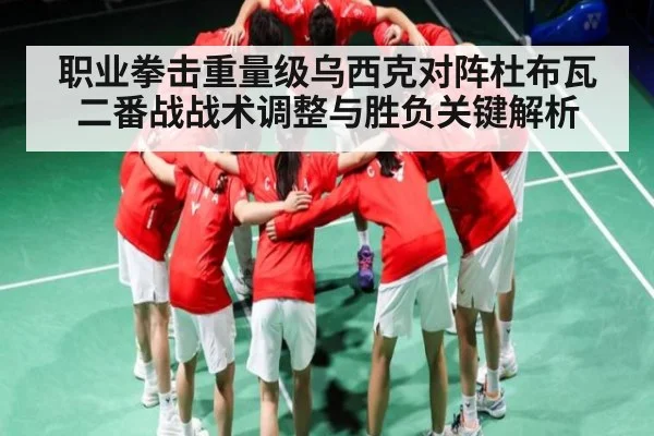 职业拳击重量级乌西克对阵杜布瓦二番战战术调整与胜负关键解析